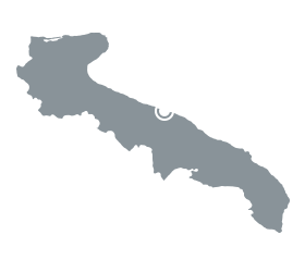 Sedi Agenzia Meet di Torkan Biagio Fiditalia Bari